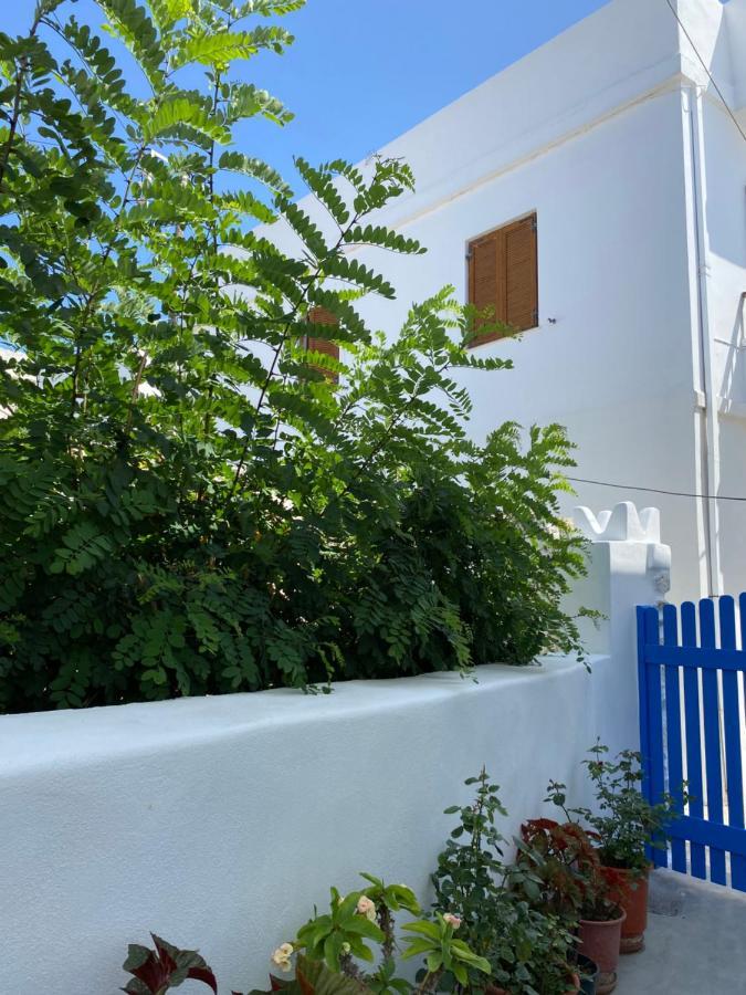 Blue Pearl Apartment Glinado Naxos Экстерьер фото