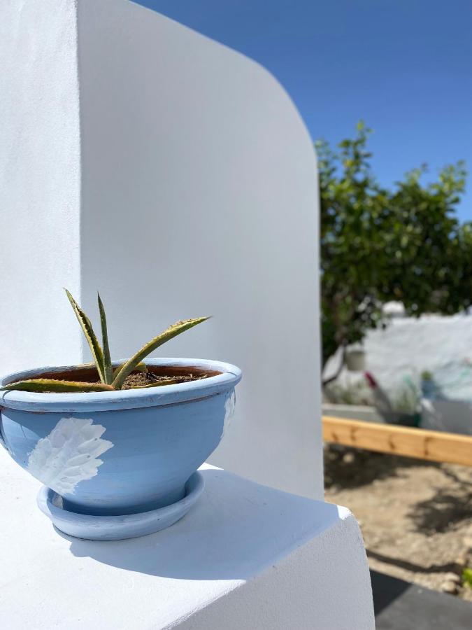 Blue Pearl Apartment Glinado Naxos Экстерьер фото