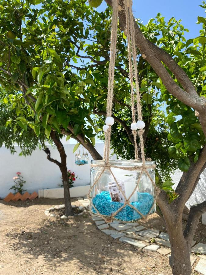 Blue Pearl Apartment Glinado Naxos Экстерьер фото